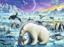 Polar Animals Gathering