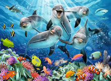 Dolphins in the Coral Reef