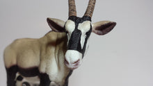 Schleich Oryx