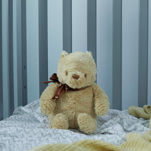 Disney Baby Classic Pooh Stuffed Animal Plush Toy, 9 inches
