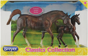 Chestnut Arabian Horse & Foal