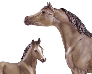 Grey Arabian Horse & Foal
