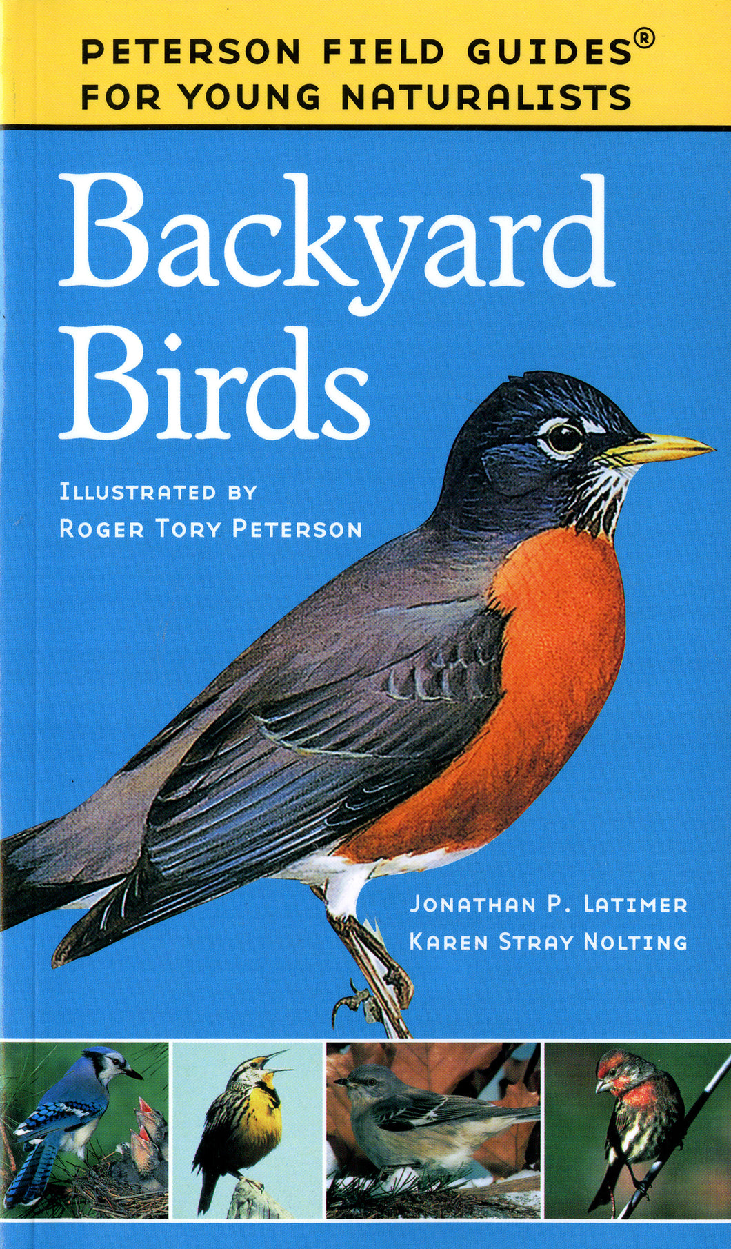 Backyard Birds