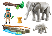 Elephant Habitat