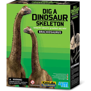Dig a Dino Excavation Kit