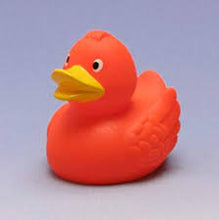 Rubber Duck - Assorted Colors